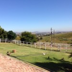 www.belcharto.co.za